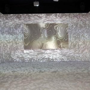 Z Stone in Exhibition 2022-03